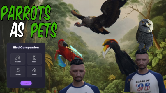 Parrots as Pets